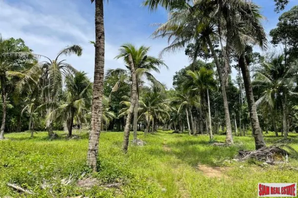 15 Rai Land Plot with Nice Mountain Views for Sale in Pa Klok