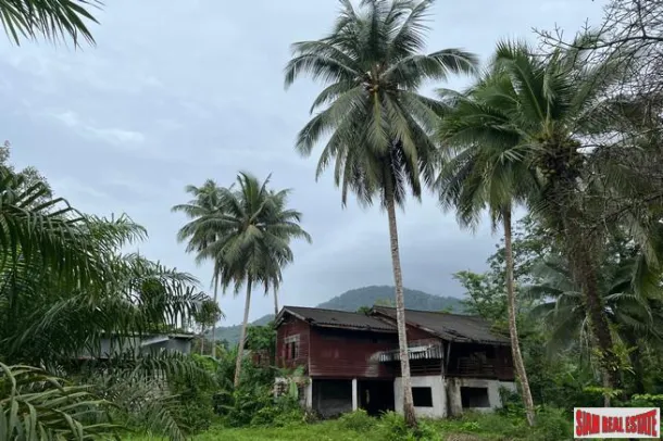 Almost 45 Rai with full mountain view and surrounded by natural canal for sale in Phangnga