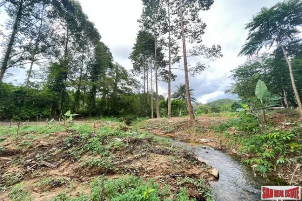 Phangnga'da Sametnangshe manzarasına yakın, ekonomik ürünlere sahip 98 Rai'lik arazi satılık