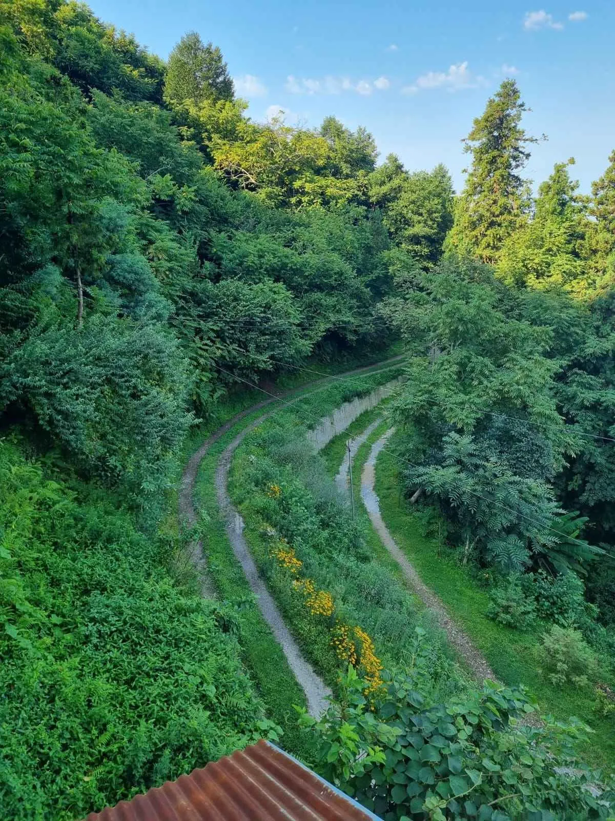 Batumi'de Arazi