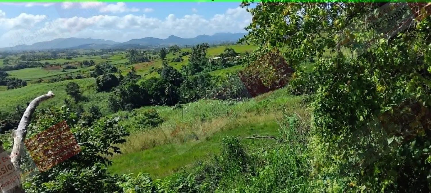 🌿 Opportunità di Vasta Terra Rurale – Coltiva, Investi e Crea il Tuo Futuro nelle Fiji 🌿