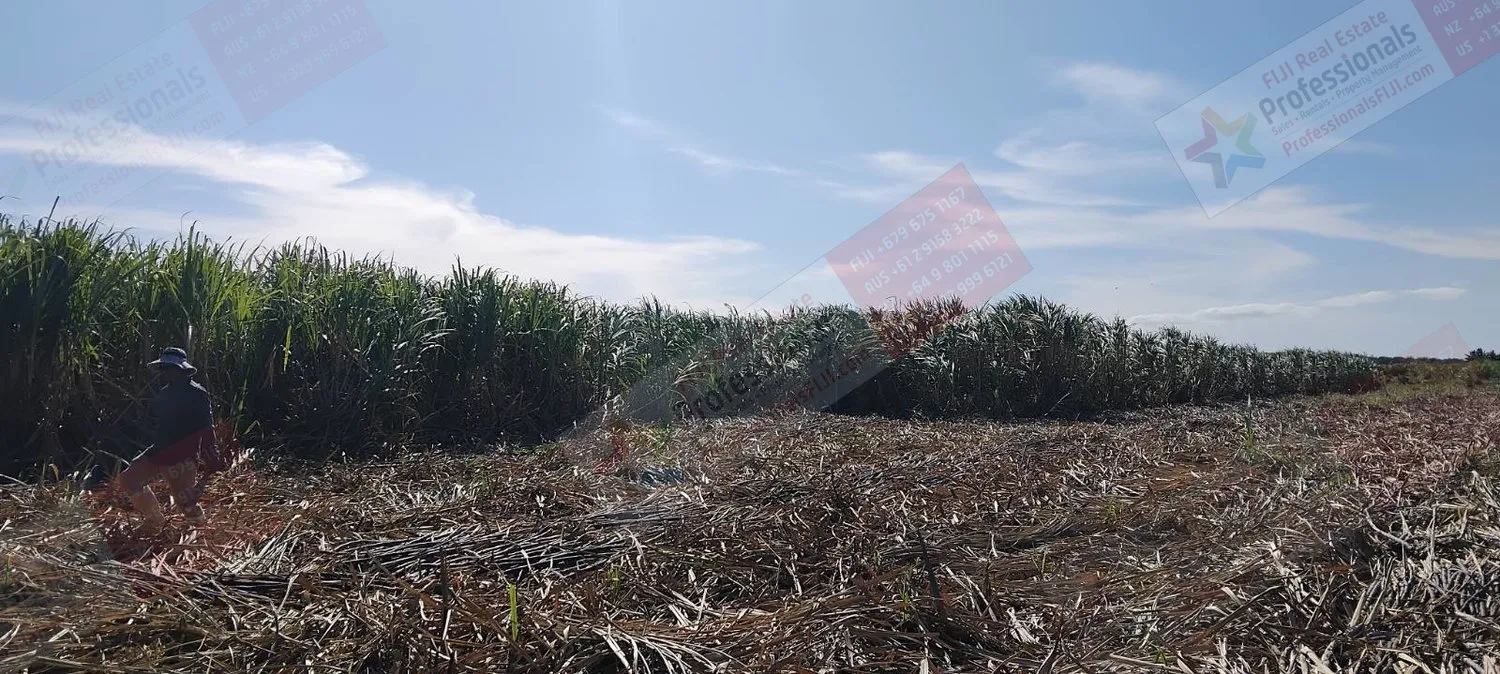 SATILIK: Geliştirme Potansiyeli Olan Birinci Sınıf Tarım Arazisi – Labasa