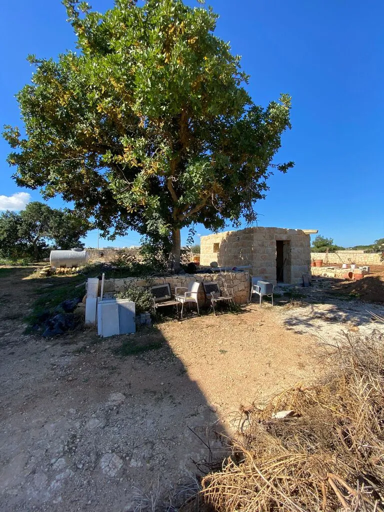 Landhaus Madliena, Madliena, Malta, photo 3