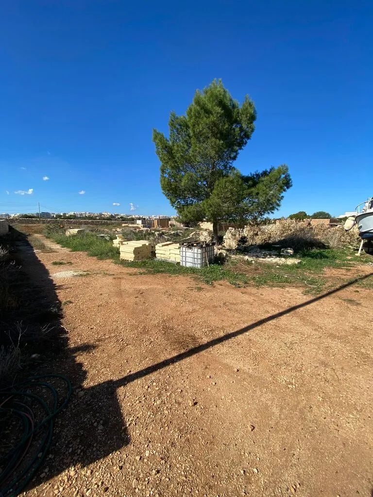 Landhaus Madliena, Madliena, Malta, photo 5