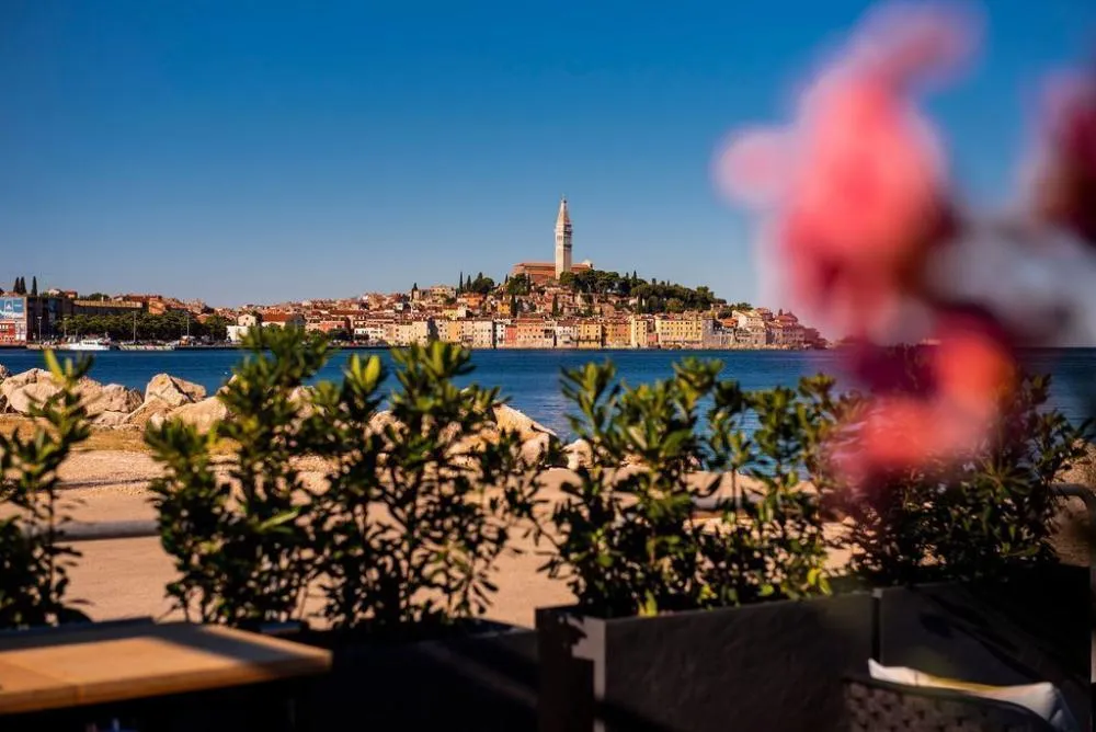 Other in Rovinj